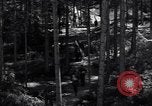 Image of Nazi Hermann Goering stolen art collection Berchtesgaden Germany, 1945, second 34 stock footage video 65675029911