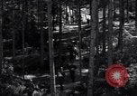 Image of Nazi Hermann Goering stolen art collection Berchtesgaden Germany, 1945, second 35 stock footage video 65675029911