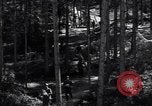 Image of Nazi Hermann Goering stolen art collection Berchtesgaden Germany, 1945, second 37 stock footage video 65675029911