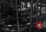 Image of Nazi Hermann Goering stolen art collection Berchtesgaden Germany, 1945, second 38 stock footage video 65675029911