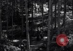 Image of Nazi Hermann Goering stolen art collection Berchtesgaden Germany, 1945, second 39 stock footage video 65675029911
