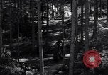 Image of Nazi Hermann Goering stolen art collection Berchtesgaden Germany, 1945, second 40 stock footage video 65675029911