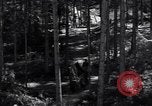 Image of Nazi Hermann Goering stolen art collection Berchtesgaden Germany, 1945, second 41 stock footage video 65675029911