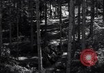 Image of Nazi Hermann Goering stolen art collection Berchtesgaden Germany, 1945, second 42 stock footage video 65675029911