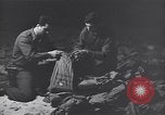 Image of Nazi gold bars Merkers-Kieselbach Germany, 1945, second 10 stock footage video 65675029913