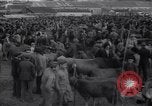 Immagine di Città dei rifugiati Caldas da Rainha Portogallo, 1942, secondo 20 filmato di repertorio 65675029918