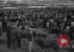 Immagine di Città dei rifugiati Caldas da Rainha Portogallo, 1942, secondo 27 filmato di repertorio 65675029918