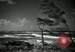 Immagine di San Juan opinioni San Juan Portorico, 1941, secondo 52 filmato di repertorio 65675029921