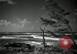 Immagine di San Juan opinioni San Juan Portorico, 1941, secondo 53 filmato di repertorio 65675029921