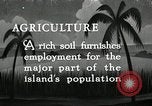 Image of coconut palms Puerto Rico, 1941, second 1 stock footage video 65675029922