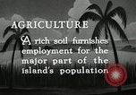 Image of coconut palms Puerto Rico, 1941, second 4 stock footage video 65675029922