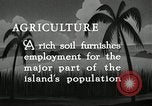 Image of coconut palms Puerto Rico, 1941, second 5 stock footage video 65675029922