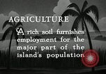 Image of coconut palms Puerto Rico, 1941, second 7 stock footage video 65675029922