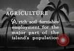 Image of coconut palms Puerto Rico, 1941, second 8 stock footage video 65675029922