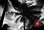 Image of coconut palms Puerto Rico, 1941, second 11 stock footage video 65675029922