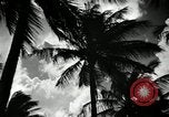 Image of coconut palms Puerto Rico, 1941, second 12 stock footage video 65675029922
