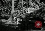 Image of coconut palms Puerto Rico, 1941, second 41 stock footage video 65675029922