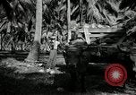 Image of coconut palms Puerto Rico, 1941, second 42 stock footage video 65675029922