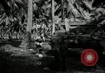 Image of coconut palms Puerto Rico, 1941, second 44 stock footage video 65675029922