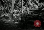 Image of coconut palms Puerto Rico, 1941, second 45 stock footage video 65675029922