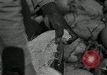 Image of coconut palms Puerto Rico, 1941, second 58 stock footage video 65675029922
