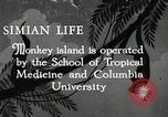 Image monkey island Puerto Rico, 1941, de la seconde 1 séquences d'archives historiques vidéo 65675029923