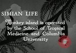Image monkey island Puerto Rico, 1941, de la seconde 4 séquences d'archives historiques vidéo 65675029923