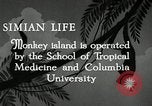 Image monkey island Puerto Rico, 1941, de la seconde 5 séquences d'archives historiques vidéo 65675029923