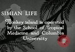 Image monkey island Puerto Rico, 1941, de la seconde 7 séquences d'archives historiques vidéo 65675029923