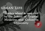 Image monkey island Puerto Rico, 1941, de la seconde 9 séquences d'archives historiques vidéo 65675029923