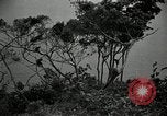 Image monkey island Puerto Rico, 1941, de la seconde 13 séquences d'archives historiques vidéo 65675029923