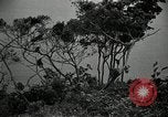 Image monkey island Puerto Rico, 1941, de la seconde 14 séquences d'archives historiques vidéo 65675029923