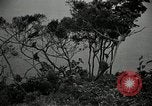 Image monkey island Puerto Rico, 1941, de la seconde 15 séquences d'archives historiques vidéo 65675029923