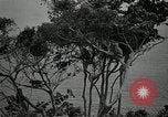 Image monkey island Puerto Rico, 1941, de la seconde 18 séquences d'archives historiques vidéo 65675029923