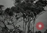 Image monkey island Puerto Rico, 1941, de la seconde 19 séquences d'archives historiques vidéo 65675029923