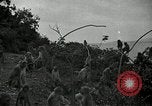 Image monkey island Puerto Rico, 1941, de la seconde 20 séquences d'archives historiques vidéo 65675029923
