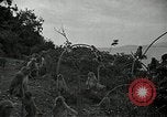 Image monkey island Puerto Rico, 1941, de la seconde 22 séquences d'archives historiques vidéo 65675029923