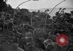 Image monkey island Puerto Rico, 1941, de la seconde 38 séquences d'archives historiques vidéo 65675029923