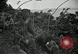 Image monkey island Puerto Rico, 1941, de la seconde 39 séquences d'archives historiques vidéo 65675029923