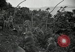 Image monkey island Puerto Rico, 1941, de la seconde 42 séquences d'archives historiques vidéo 65675029923