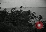 Image monkey island Puerto Rico, 1941, de la seconde 49 séquences d'archives historiques vidéo 65675029923