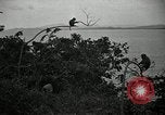 Image monkey island Puerto Rico, 1941, de la seconde 51 séquences d'archives historiques vidéo 65675029923
