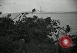 Image monkey island Puerto Rico, 1941, de la seconde 52 séquences d'archives historiques vidéo 65675029923