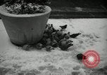 Immagine di Neve in primavera New York City USA, 1965, secondo 12 filmato di repertorio 65675029927