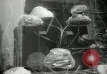 Immagine di Neve in primavera New York City USA, 1965, secondo 35 filmato di repertorio 65675029927