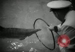 Standbild Canadian National Sportler zeigen Toronto Ontario Kanada, 1965, aus Sekunde 55 historischem Filmmaterial Videoclip 65675029930