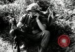 Immagine di American prima della Cavalleria Bong figlio Vietnam, 1966, secondo 46 filmato di repertorio 65675029931