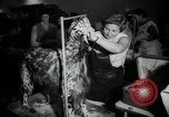 Immagine di Dog show New York United States USA, 1966, secondo 10 filmato di repertorio 65675029933