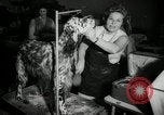 Immagine di Dog show New York United States USA, 1966, secondo 11 filmato di repertorio 65675029933
