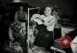 Immagine di Dog show New York United States USA, 1966, secondo 12 filmato di repertorio 65675029933